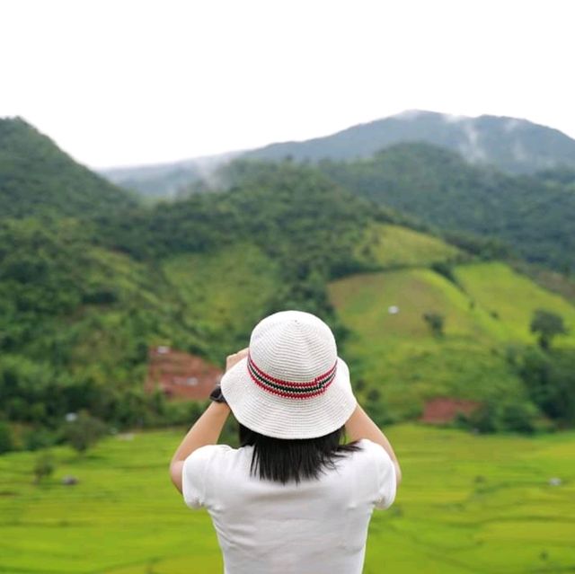 นาขั้นบันได - บ้านเวร บ่อเกลือ, น่าน