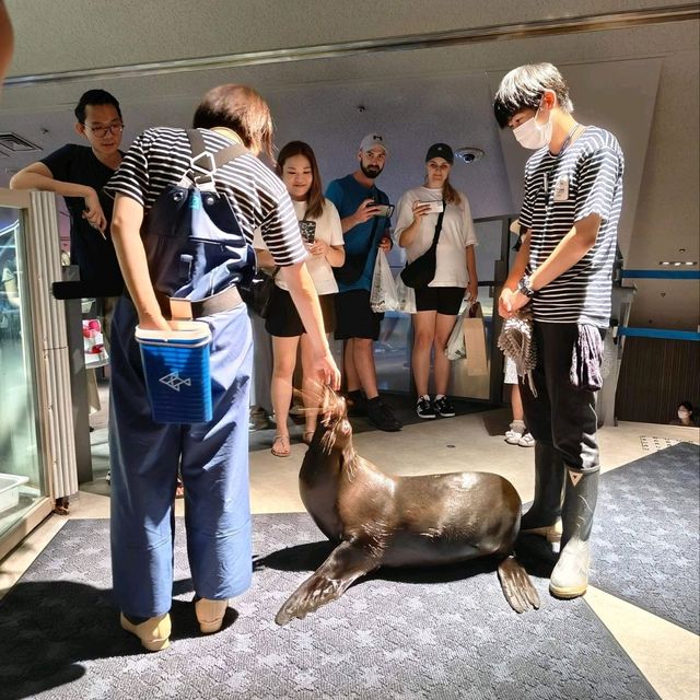 日本東京「墨田水族館」