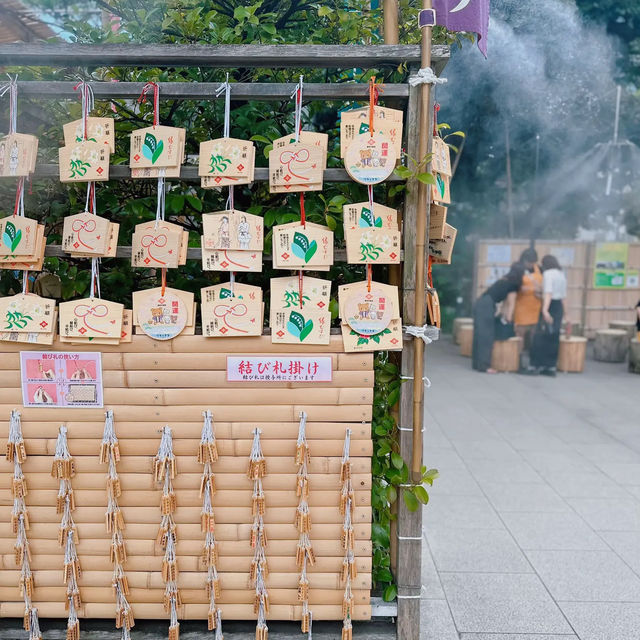 【神楽坂⛩️】シェアサイクル「LUUP」で神社巡りプラン🎋