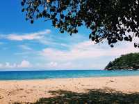 The Radical Bay