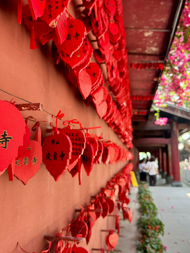 宏偉的樂山大佛及景區