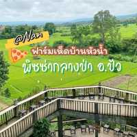 ฟาร์มเห็ดบ้านหัวน้ำ - ชมวิว ชิมพิซซ่าเห็ดโฮมเมด