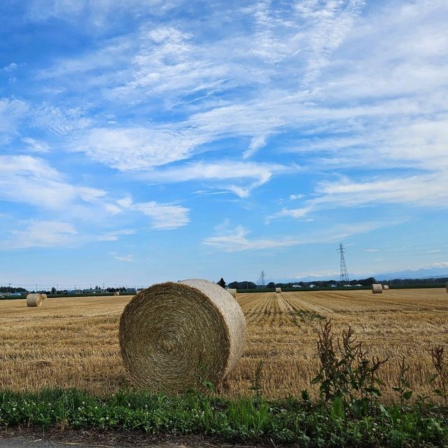 【北海道】十勝平野