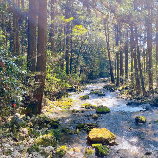 【秋吉台】山口県の絶景スポット！