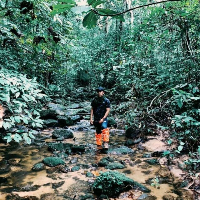 เที่ยวหน้าฝน ฮาลา-บาลา ผืนป่าแห่งความสมดุล