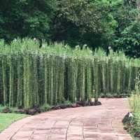 Singapore Botanic Garden