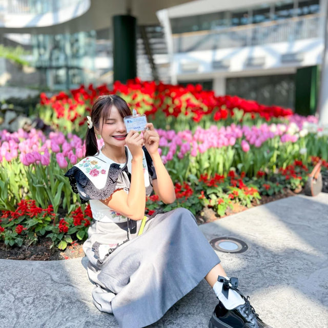 🌷สวนดอกไม้เมืองหนาวที่ใหญ่ที่สุดในประเทศไทย🌹