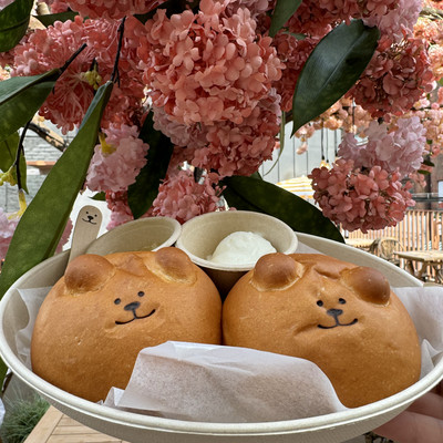 可愛すぎる！くまちゃんパン専門店🐻 | Trip.com ソウル