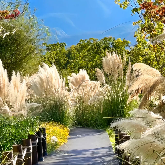 小涉湖：絕佳湖景