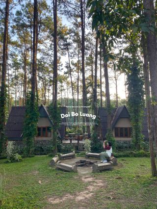 ฤดูฝนที่สวนป่าดอยบ่อหลวง 🏡🪵🌲🔥