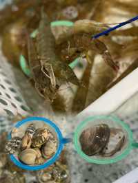 「¥168鮮切黃牛肉，潮汕毒藥生醃海鮮同生蠔自由喇！唔食蠔可選更便宜的¥138」