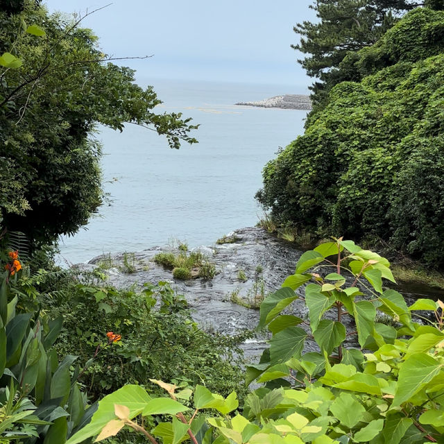 제주여행🏝️ 한여름 무더운 날씨를 시원하게 날려줄 정방폭포🩵