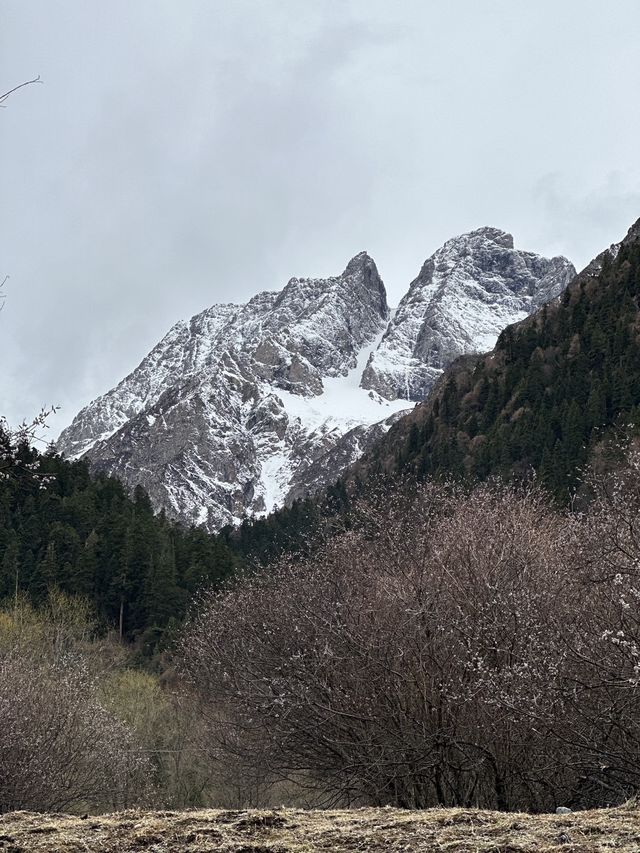 ทะเลสาปซื่อกูเหนียง วิวภูเขาหิมะสวยมาก 🇨🇳