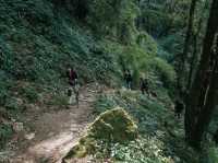 Day 2 Mardi Himal (Pitan Deurali-Low Camp) 