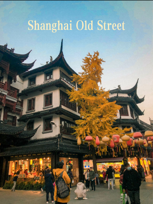 Explore Shanghai Old Street by Yu Garden 🇨🇳