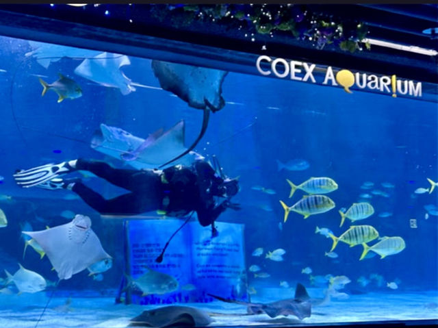 🇰🇷環遊亞洲11首爾「Coex 星空圖書館」一日遊
