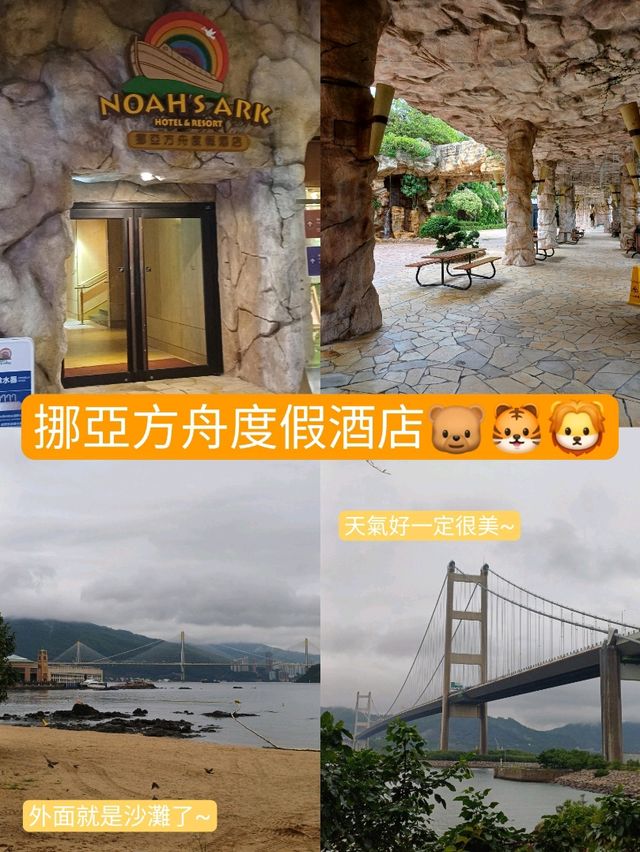 想體驗一下住在挪亞方舟上的感覺嗎🦁🐯🐻🐮