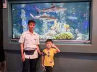 รีวิว "ระยอง อควาเรียม" 🐠🐟🪼