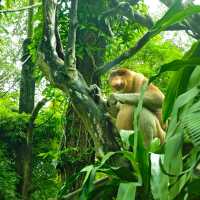 馬來西亞國家動物園：親近自然，享受歡樂氛圍！