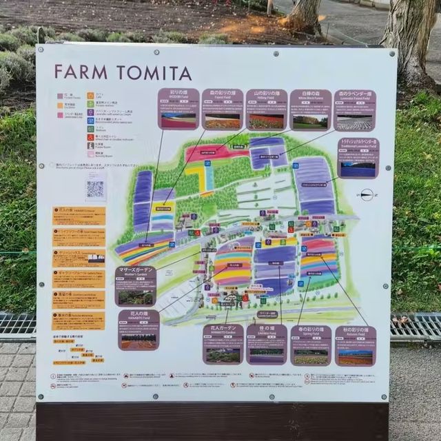 富良野 | 日本最美的賞花勝地 📸 
