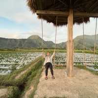 Naturally beautiful of Sembalun village, Lombok 🇮🇩 
