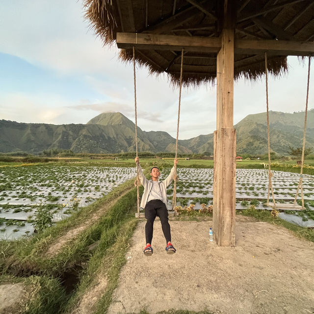 Naturally beautiful of Sembalun village, Lombok 🇮🇩 