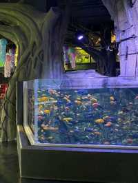 พิพิธภัณฑ์สัตว์น้ำ Aquaria Phuket