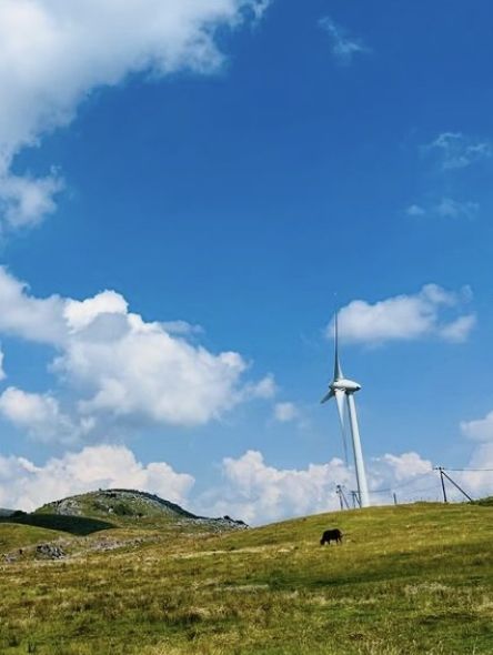 愛媛　まるでスイス！？四国カルスト⛰️🐄