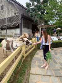 Khao Yai - A charming little place