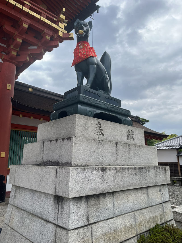【京阪神五至七日遊】貓🐱風列車、合掌村、清水寺、心齋橋購物，穿和服遊京都