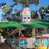 🎡多姿多彩的海洋公園🐼 保護海洋🌊大自然🌳