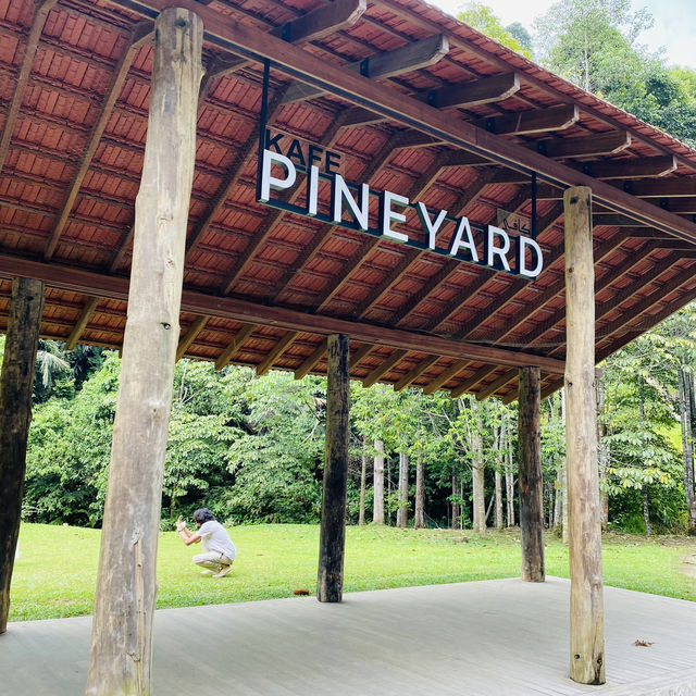 Pineyard Cafe in the Forest 🌳 Janda Baik 🇲🇾