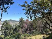 A Fairy Garden: Natureside Cafe Da Lat