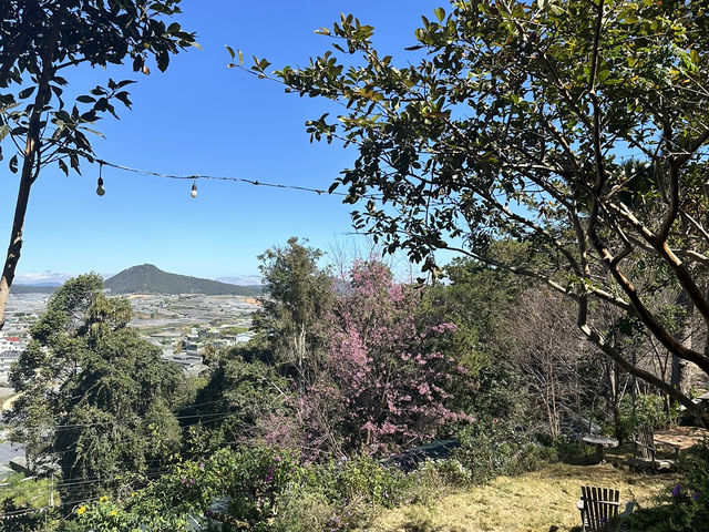 A Fairy Garden: Natureside Cafe Da Lat
