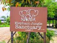 Elephant Jungle Sanctuary Grand Canyon CNX