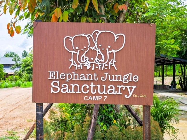 Elephant Jungle Sanctuary Grand Canyon CNX
