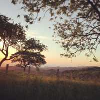 Uncover the Natural Wonders of Costa Rica