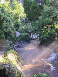 【白川水源:熊本県阿蘇群】透き通った美味しい湧き水を汲める場所✨