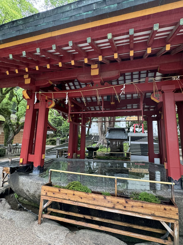 【福岡観光】124年ぶりの大改修✨️森の仮殿🌳