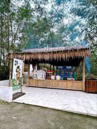 Discover Serenity at Putuo Village