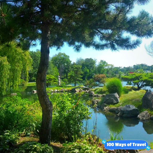 "Buffalo’s Hidden Gem: Serenity at the Japanese Garden"