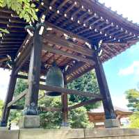 日本ㅣ東京ㅣ豪德寺ㅣ達願千貓神社/招財貓史祖