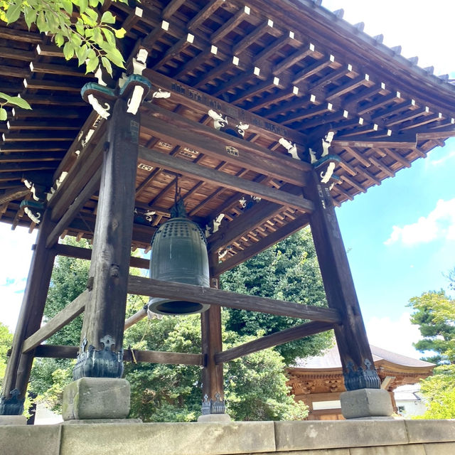 日本ㅣ東京ㅣ豪德寺ㅣ達願千貓神社/招財貓史祖