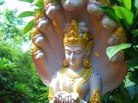 วัดป่าสิริวัฒนวิสุทธิ์ นครสวรรค์