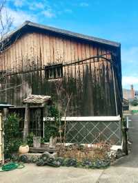 【日本四國】小豆島一日環島遊:環島觀光巴士,輕鬆遊覽主要景點