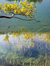 Embracing Nature's Beauty at Plitvice Lakes National Park