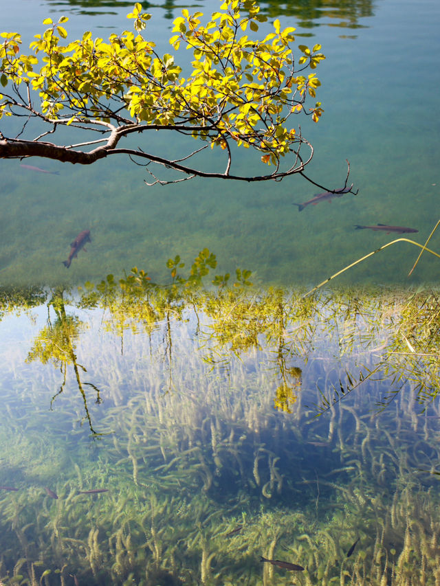 Embracing Nature's Beauty at Plitvice Lakes National Park