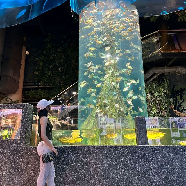 Malaysia budget trip