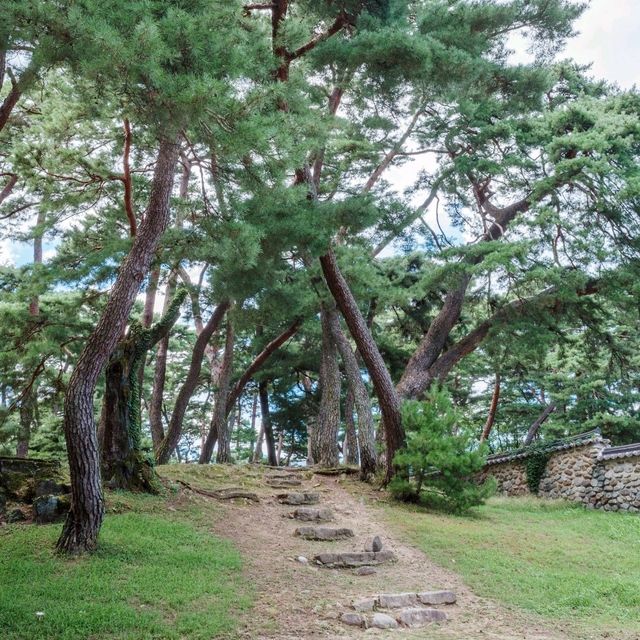 마음의 안정을 주는