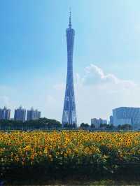 Canton tower that catch the tourists eyes 🗼🗼